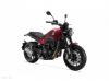 Benelli Leoncino 500 2024