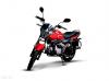 Super Power SP 110 Cheetah 2025