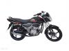 Super Power SP 110 Cheetah 2024