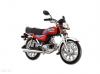 Road Prince RP 70 Passion Plus 2024