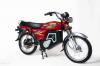 Pakzon Electric PE 70 D Red 2025