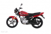 Yamaha YB 125Z DX 2024