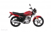 Yamaha YB 125Z DX 2024