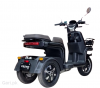 Crown Bull EV 2025