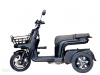 Crown Bull EV 2025