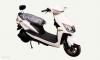 Huaguan Ibex 2025