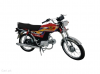 Road King RK 70 Hybrid  2025