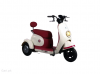 Road King K9 3Wheeler  2025