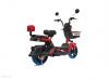 BRG Pedelix 2025