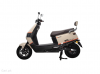 BRG BS7 2025