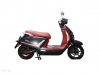 BRG Vespro 2025