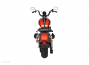 Harley Davidson Cross Bones 0
