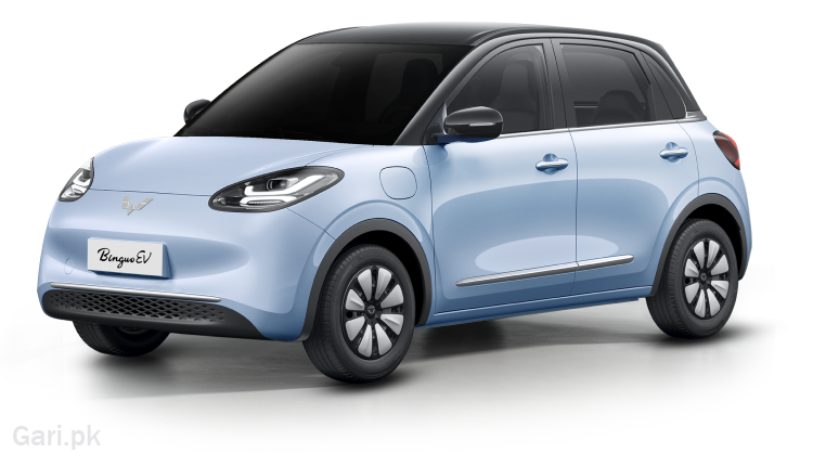 Wuling Binguo