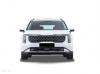 Kia Carnival 3.5L V6