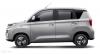 baw brumby Grey