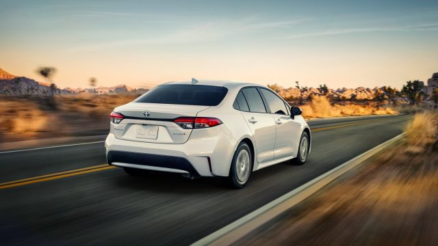 Toyota Corolla 2020 Exhibits in UAE