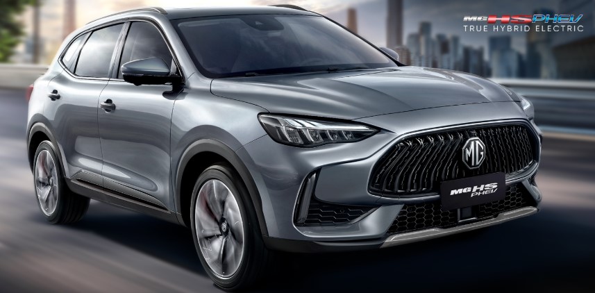 Hybrids Fail to Impress Pakistani Buyers — Here’s Why
