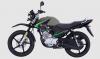 Yamaha YBR 125G 2024 Model: Specs & Features