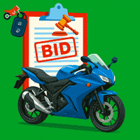 Bike Bidding